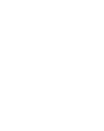 Logo Wolfsburg